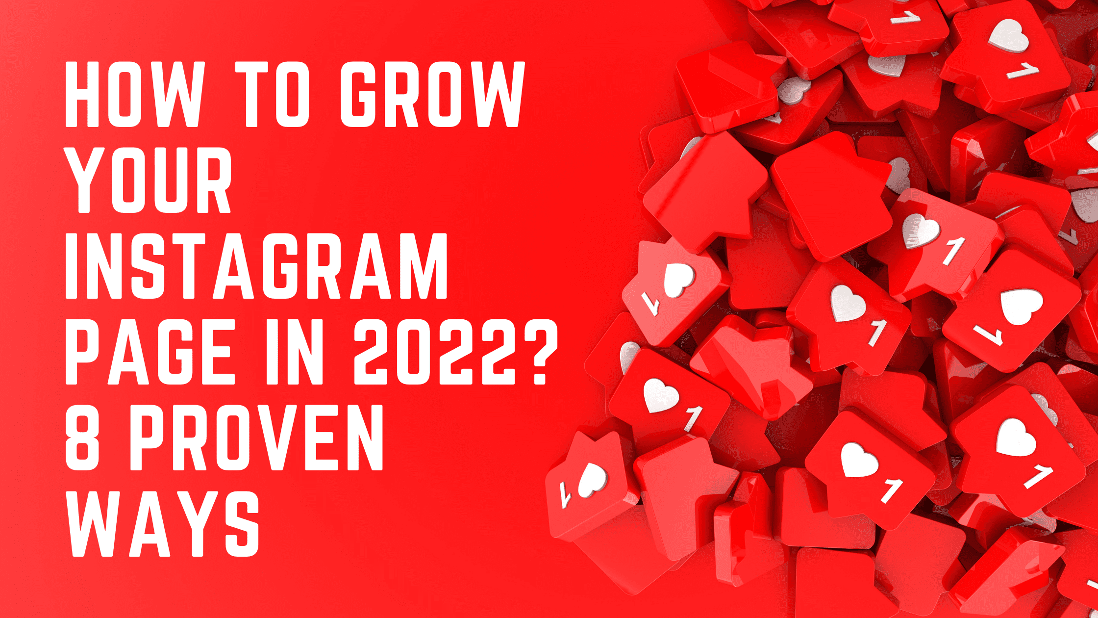 How To Grow Your Instagram Page In 2022